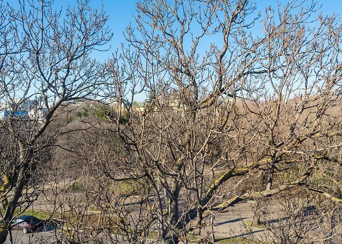 студио в близост до община